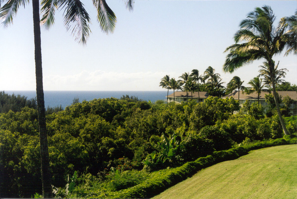 The scenic view from VRI's Alii Kai Resort in Hawaii